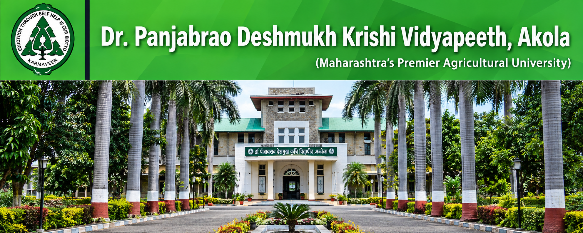 SNBP International School